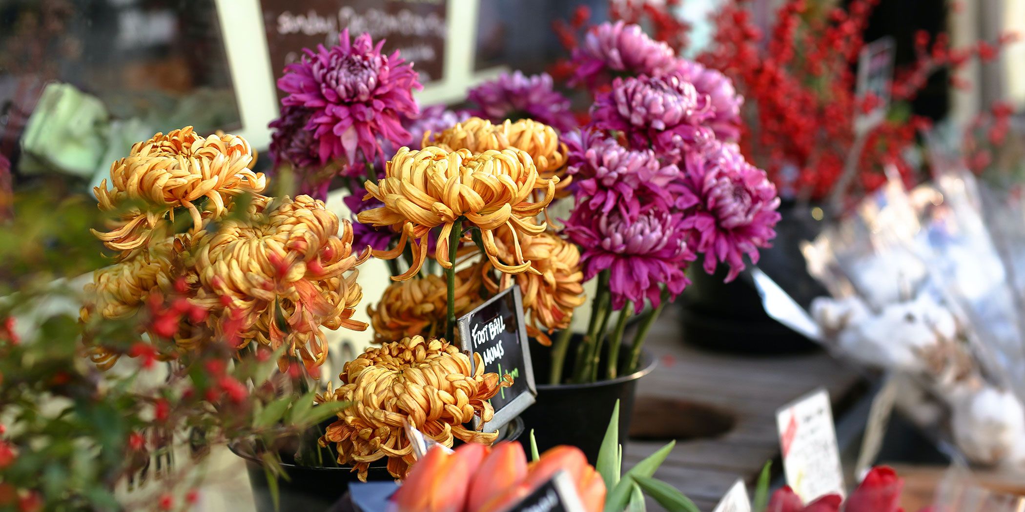 Florists and Flowers: What Do They Mean and What Do They Symbolise?